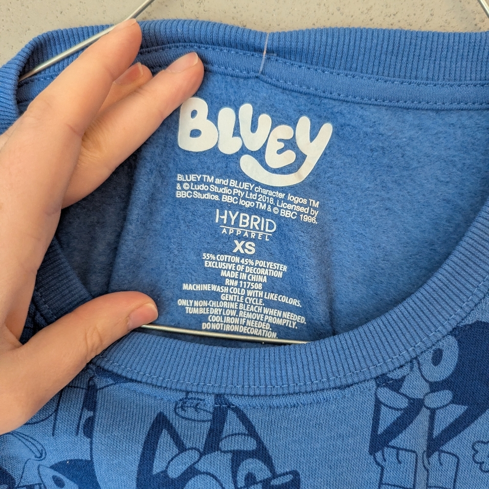 Bluey Sweatshirt With Embroidered Bluey - Picture 5 of 5